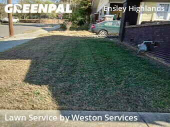 Lawn Mow nearby Birmingham, AL, 