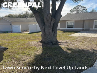 Lawn Mow nearby Clermont, FL, 