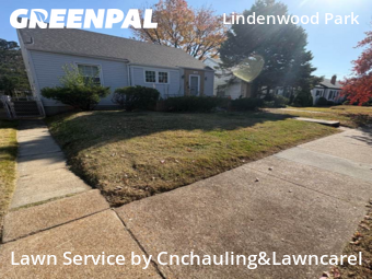 Grass Cutting nearby St. Louis, MO, 