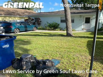 Lawn Mow nearby Tampa, FL, 