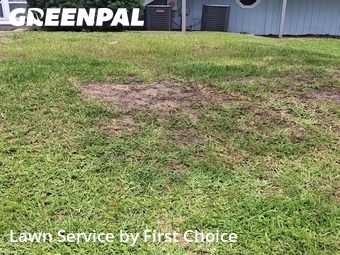 Lawn Care nearby St. Augustine, FL, 