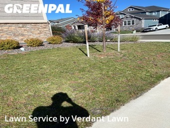 Yard Mowing nearby Loveland, CO, 