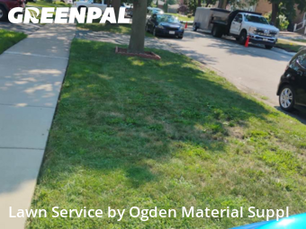 Grass Cut nearby Des Plaines, IL, 