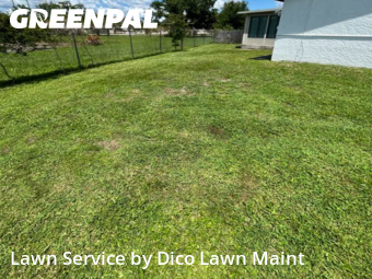 Lawn Cutting nearby Tampa, FL, 