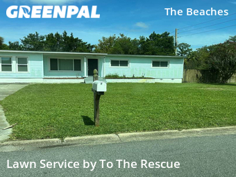 Lawn Care nearby Jacksonville Beach, FL, 