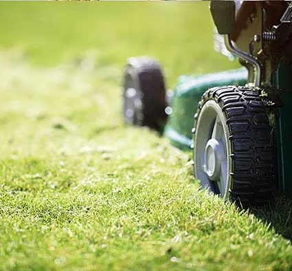 Best Lawnmower Shop Photo 5