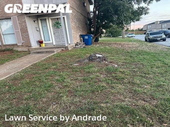 Yard Mowing nearby Arlington, TX, 