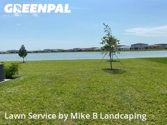Yard Cutting nearby Port St. Lucie, FL, 