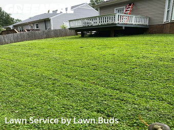 Yard Cutting nearby Charlotte, NC, 