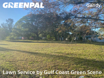 Yard Mowing nearby St. Petersburg, FL, 