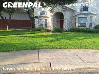 Lawn Mow nearby San Antonio, TX, 