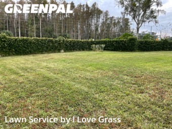 Yard Mowing nearby Land O' Lakes, FL, 