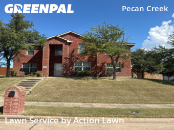 Grass Cut nearby Mesquite, TX, 