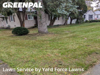 Yard Services in Fairview Park, 44126, Lawn Upkeep by Yard Force Lawns, work completed in Oct , 2025