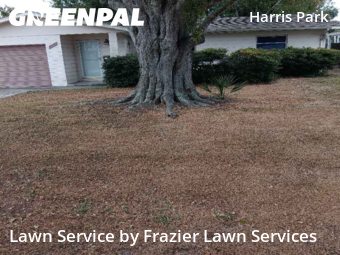 Lawn Mowing nearby St. Petersburg, FL, 