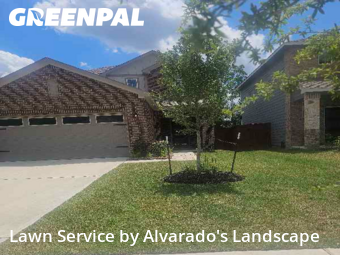 Lawn Cuttingin Porter,77365,Yard Mowing by Alvarado's Landscape, work completed in Nov , 2025