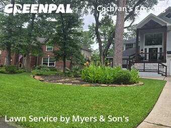 Lawn Cut nearby The Woodlands, TX, 
