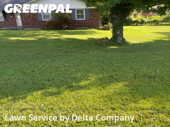 Yard Cutting nearby Bowling Green, KY, 