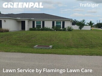 Yard Cutting nearby Cape Coral, FL, 