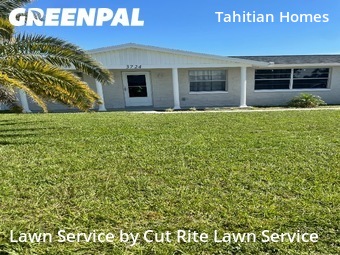 Lawn Cutting nearby Holiday, FL, 