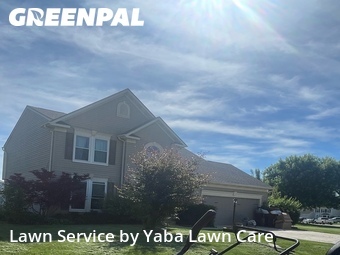 Lawn Care Servicein Franklin,45005,Lawn Mow by Yaba Lawn Care, work completed in Jun , 2026