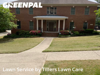 Grass Cut nearby Huntsville, AL, 