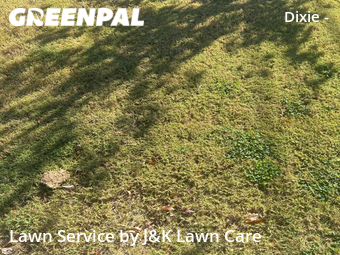 Lawn Cut nearby Charlotte, NC, 