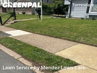 Yard Cutting nearby Philadelphia, PA, 