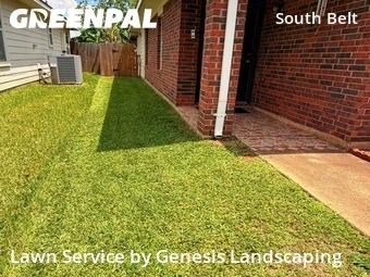 Grass Cut nearby Houston, TX, 