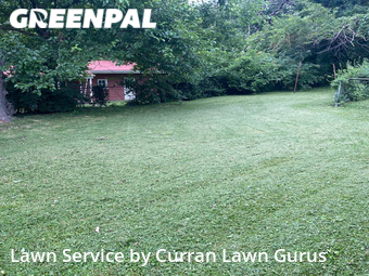 Lawn Maintenance nearby St. Louis, IL, 
