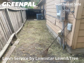 Yard Cutting nearby San Antonio, TX, 