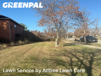 Lawn Mowing Service nearby Champaign, IL, 