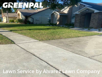 Yard Cutting nearby Orlando, FL, 