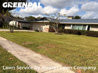 Yard Cuttingin Altamonte Springs,32701,Yard Mowing by Alvarez Lawn Company, work completed in Dec , 2025