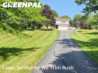 Lawn mowed in North Royalton, 44133