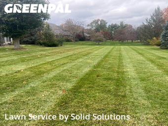 Turf Services in Kokomo, 46902, Yard Work by Solid Solutions , work completed in Oct , 2025