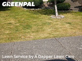 Grass Cutting nearby Bellingham, WA, 