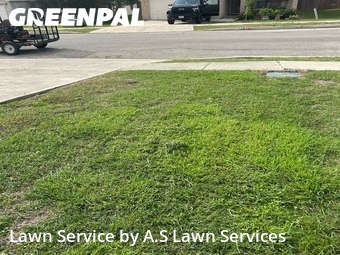 Lawn Care nearby Cibolo, TX, 