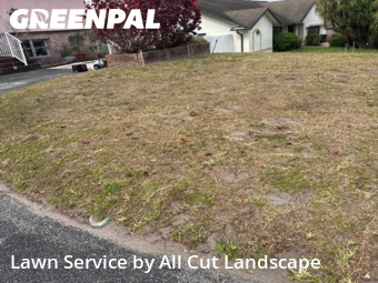 Yard Mowing nearby Boca Raton, FL, 