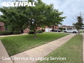 Lawn Cut nearby Grand Prairie, TX, 