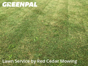 Yard Cutting nearby Lansing, MI, 