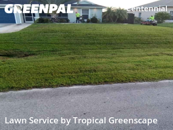 Lawn Maintenance nearby Lehigh Acres, FL, 