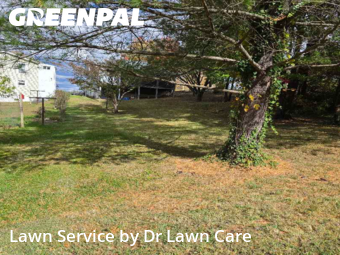 Yard Cutting nearby Vinton, VA, 