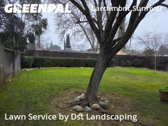 Work completed by affordable-lawn-services-in-Rancho Cordova-CA