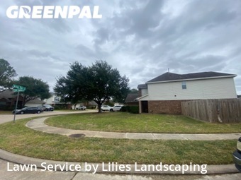 Grass Cut nearby Katy, TX, 
