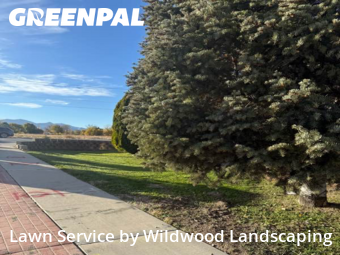 Grass Cutting in West Jordan, 84084, Mowing Services by Wildwood Landscaping , work completed in Nov , 2025