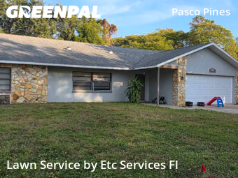 Yard Cutting in Holiday, 34690, Grass Cutting by Etc Services Fl, work completed in Dec , 2025