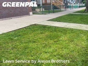 Lawn Mowing nearby Chicago, IL, 