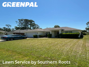 Lawn Mow nearby Palm Coast, FL, 