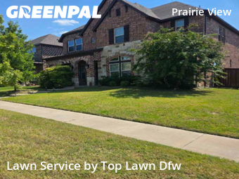 Lawn Cut nearby Frisco, TX, 